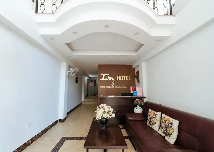 Ivy Bai Chay Hotel 2*